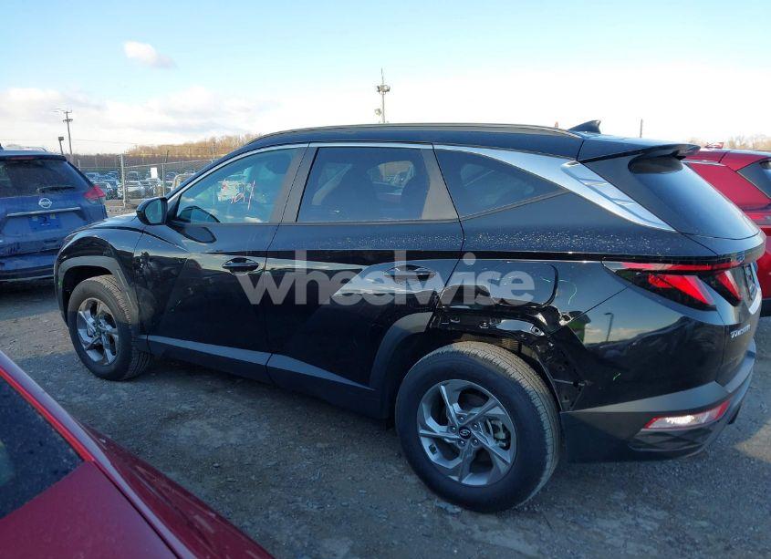 Photo 14 of 2024 Hyundai Tucson SEL (VIN 5NMJBCDE9RH419791)