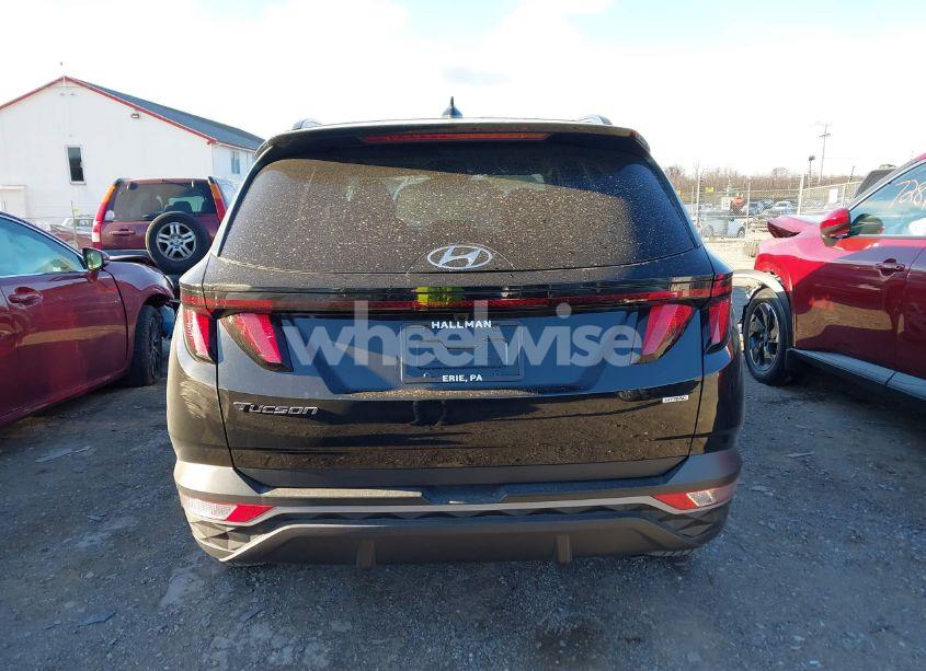 Photo 16 of 2024 Hyundai Tucson SEL (VIN 5NMJBCDE9RH419791)