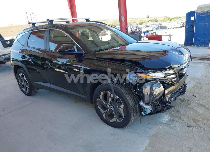2024 Hyundai Tucson SEL (VIN 5NMJBCDE9RH420391) main photo