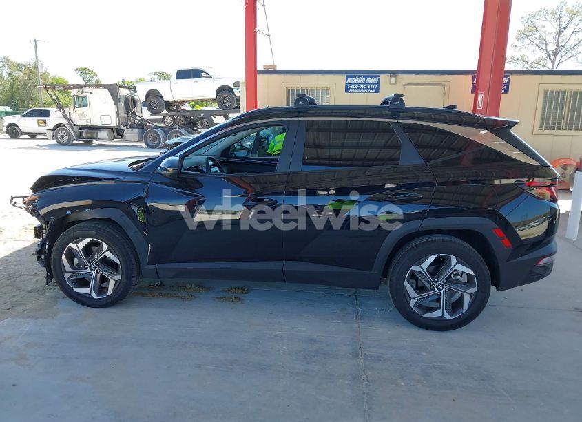 Photo 15 of 2024 Hyundai Tucson SEL (VIN 5NMJBCDE9RH420391)