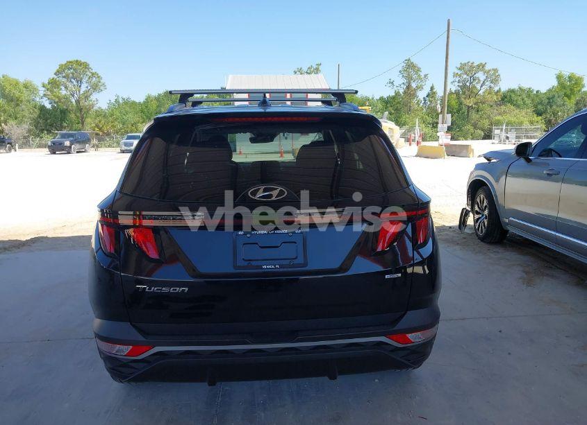 Photo 17 of 2024 Hyundai Tucson SEL (VIN 5NMJBCDE9RH420391)
