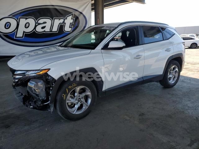 Photo 10 of 2024 HYUNDAI TUCSON SEL (VIN 5NMJBCDE9RH420634)
