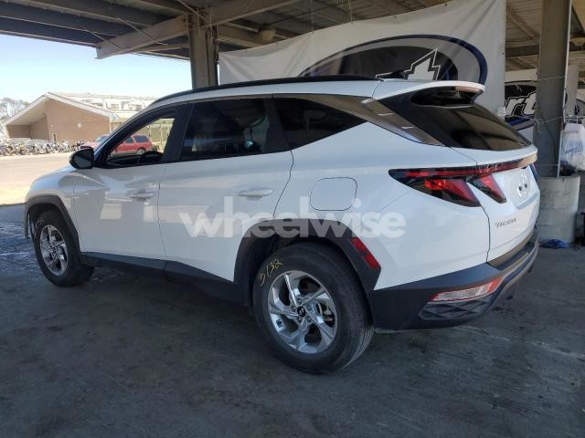 Photo 13 of 2024 HYUNDAI TUCSON SEL (VIN 5NMJBCDE9RH420634)