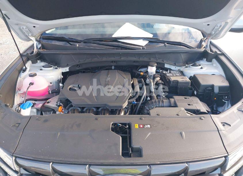 Photo 10 of 2024 Hyundai Tucson SEL (VIN 5NMJBCDE9RH428362)