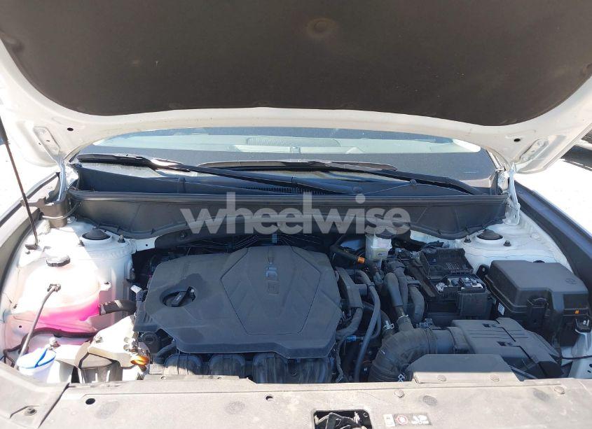 Photo 10 of 2025 Hyundai Tucson SEL (VIN 5NMJBCDE9SH459813)