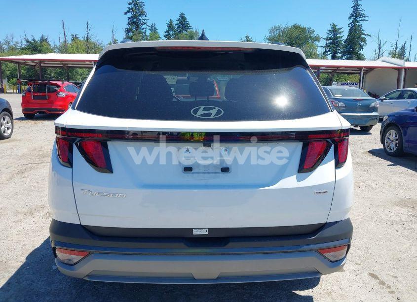 Photo 17 of 2025 Hyundai Tucson SEL (VIN 5NMJBCDE9SH459813)
