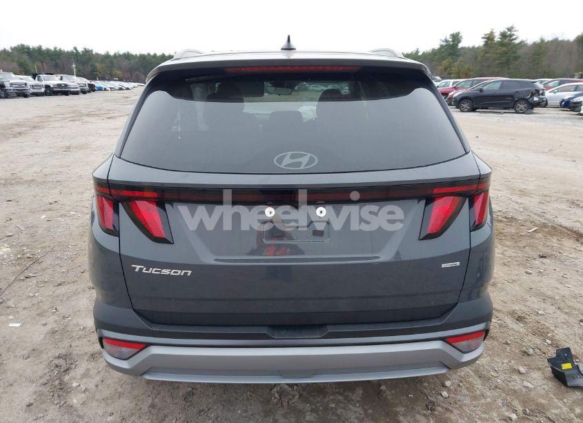 Photo 17 of 2025 Hyundai Tucson SEL (VIN 5NMJBCDE9SH461058)