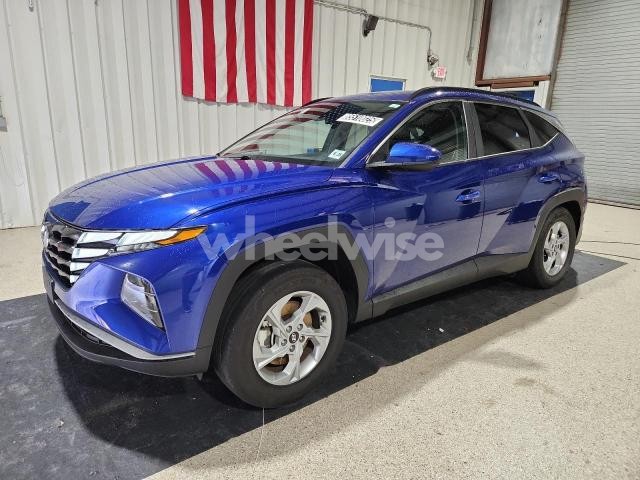 2024 HYUNDAI TUCSON SEL (VIN 5NMJBCDEXRH305024) main photo