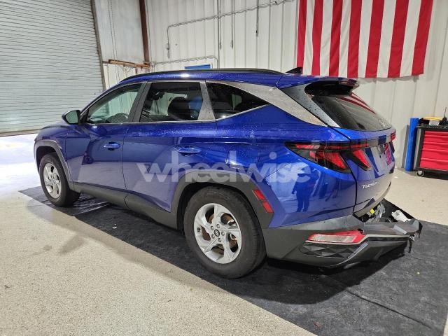 Photo 12 of 2024 HYUNDAI TUCSON SEL (VIN 5NMJBCDEXRH305024)