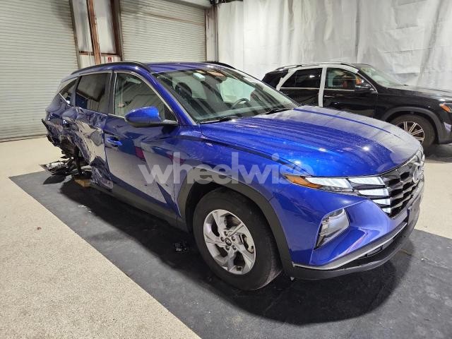 Photo 14 of 2024 HYUNDAI TUCSON SEL (VIN 5NMJBCDEXRH305024)