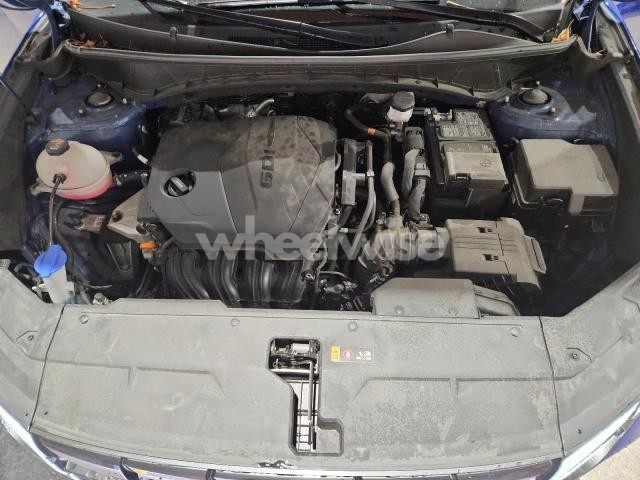 Photo 6 of 2024 HYUNDAI TUCSON SEL (VIN 5NMJBCDEXRH305024)
