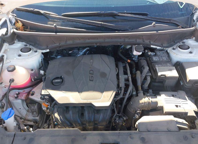 Photo 10 of 2024 Hyundai Tucson SEL (VIN 5NMJBCDEXRH324267)