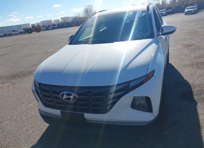 Photo 13 of 2024 Hyundai Tucson SEL (VIN 5NMJBCDEXRH324267)