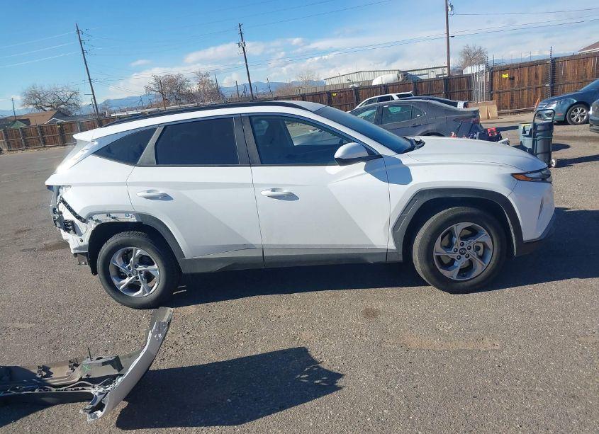 Photo 14 of 2024 Hyundai Tucson SEL (VIN 5NMJBCDEXRH324267)
