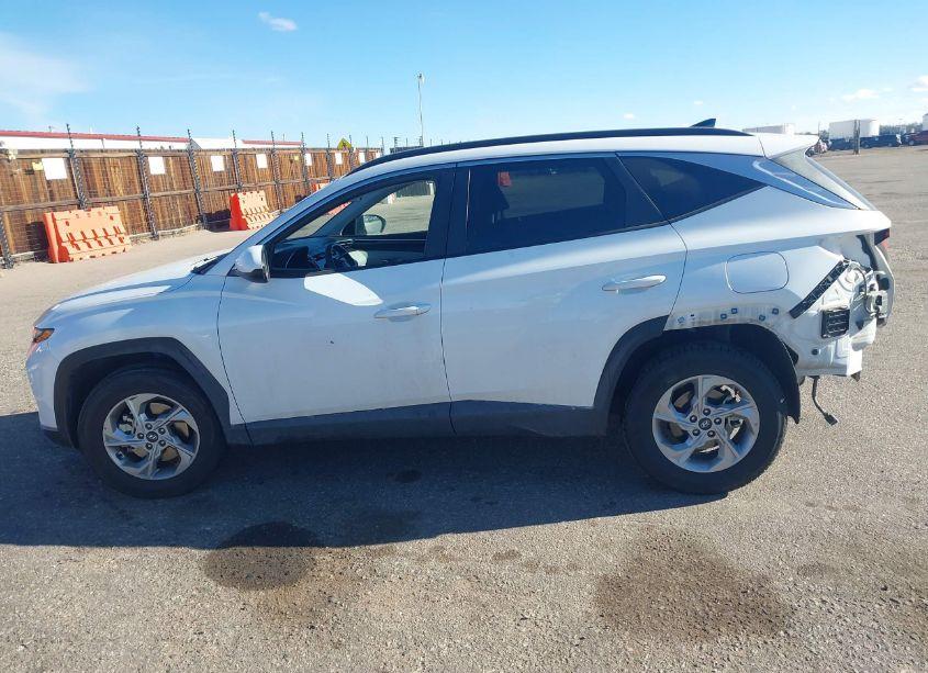 Photo 15 of 2024 Hyundai Tucson SEL (VIN 5NMJBCDEXRH324267)
