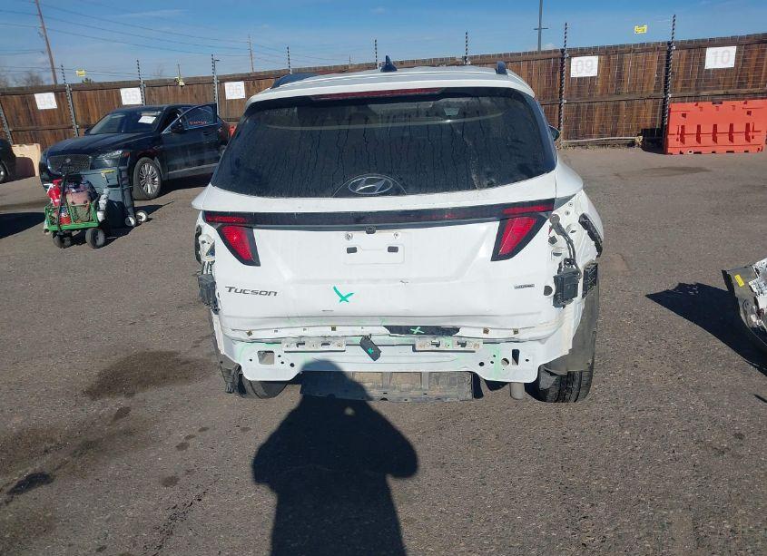 Photo 17 of 2024 Hyundai Tucson SEL (VIN 5NMJBCDEXRH324267)