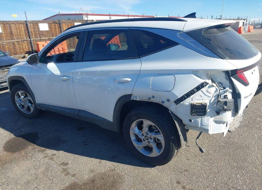 Photo 3 of 2024 Hyundai Tucson SEL (VIN 5NMJBCDEXRH324267)
