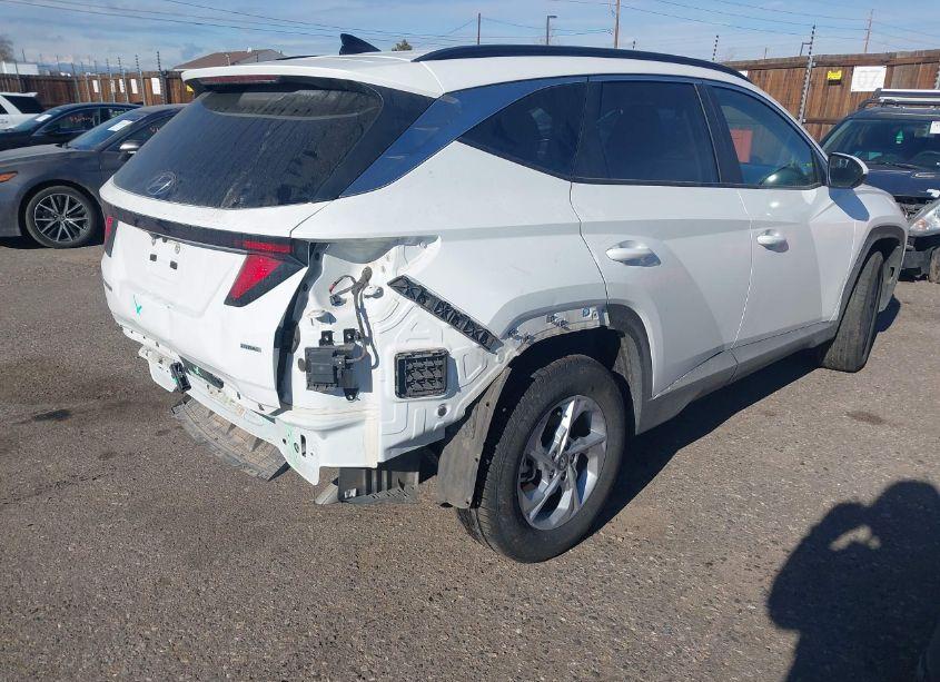 Photo 4 of 2024 Hyundai Tucson SEL (VIN 5NMJBCDEXRH324267)