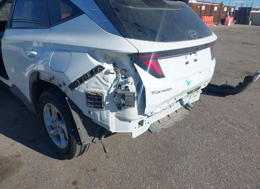 Photo 6 of 2024 Hyundai Tucson SEL (VIN 5NMJBCDEXRH324267)