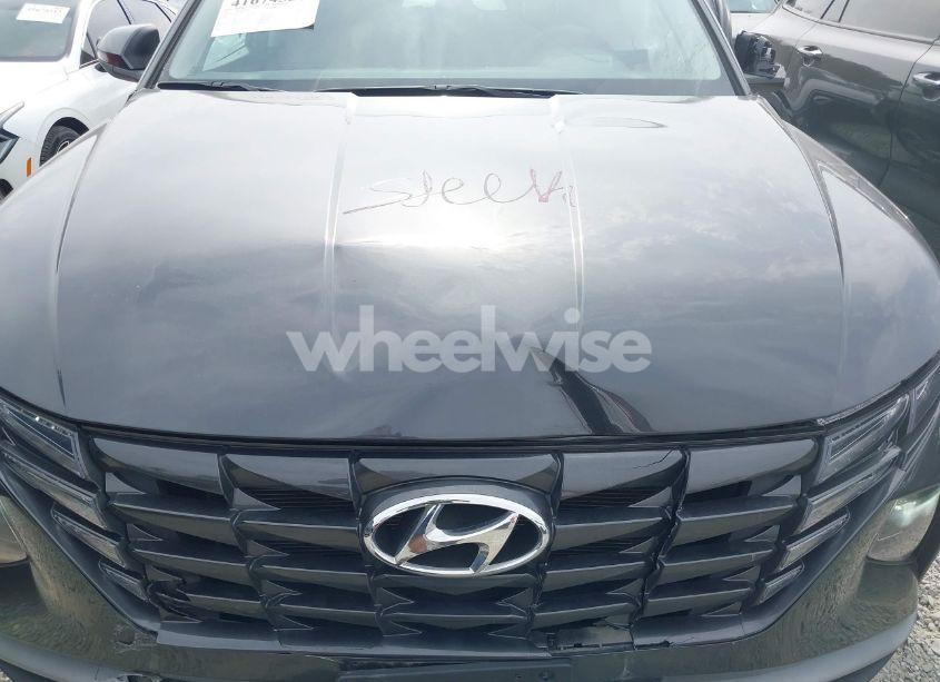 Photo 10 of 2024 Hyundai Tucson SEL (VIN 5NMJBCDEXRH327492)