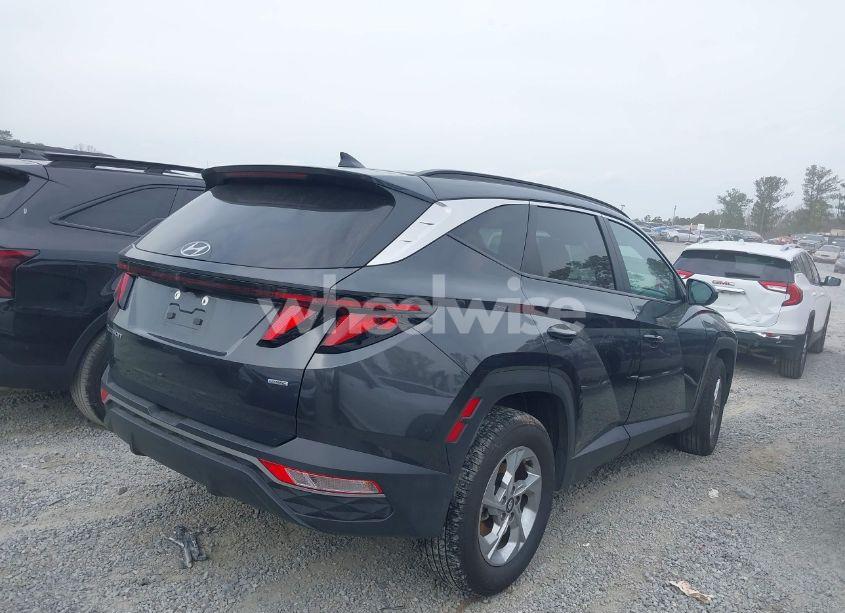 Photo 13 of 2024 Hyundai Tucson SEL (VIN 5NMJBCDEXRH327492)