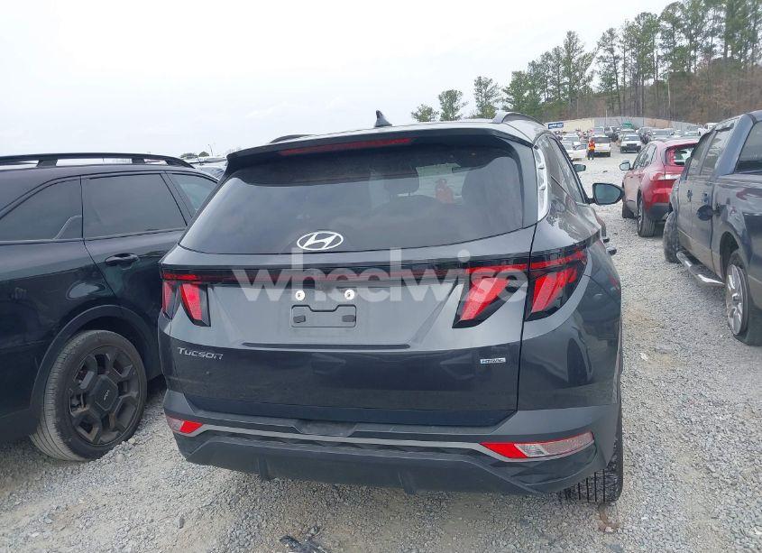 Photo 16 of 2024 Hyundai Tucson SEL (VIN 5NMJBCDEXRH327492)