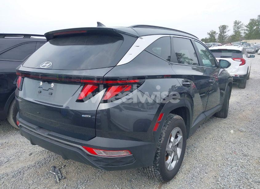 Photo 4 of 2024 Hyundai Tucson SEL (VIN 5NMJBCDEXRH327492)