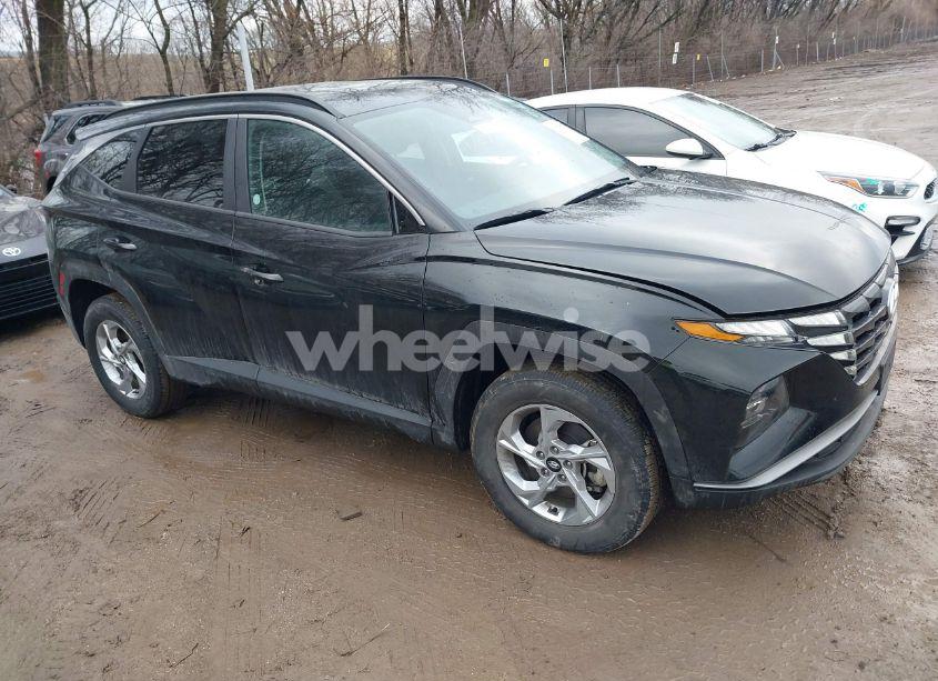 2024 Hyundai Tucson SEL (VIN 5NMJBCDEXRH343966) main photo