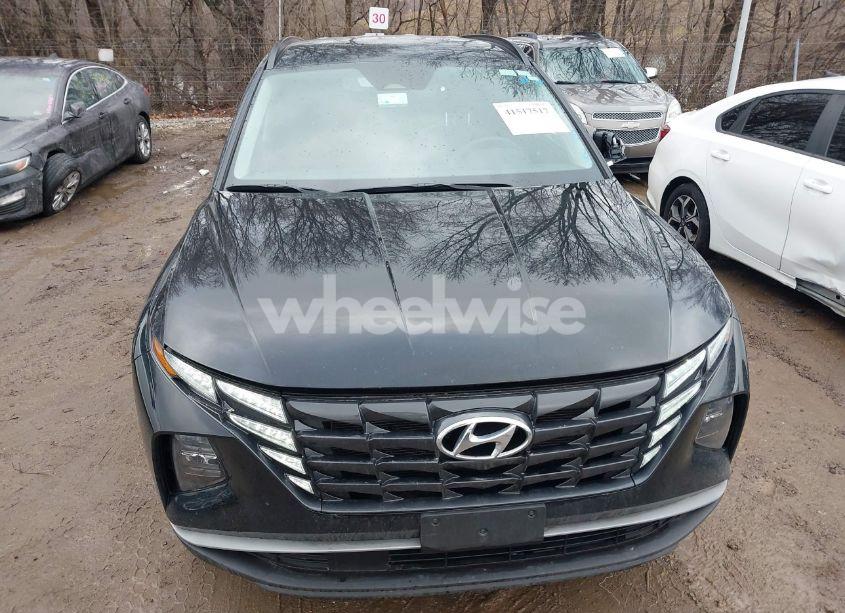 Photo 12 of 2024 Hyundai Tucson SEL (VIN 5NMJBCDEXRH343966)