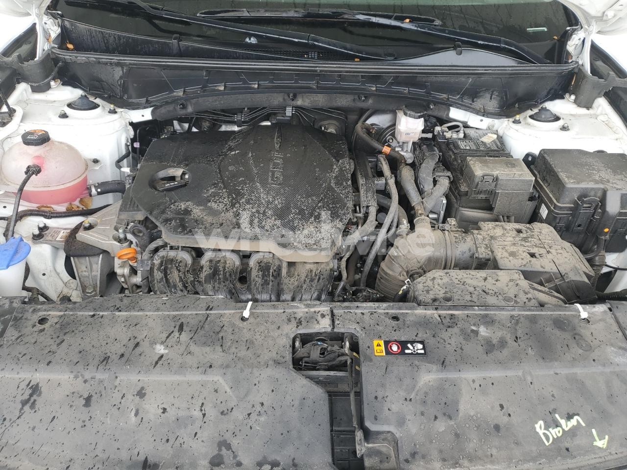 Photo 12 of 2024 HYUNDAI TUCSON SEL (VIN 5NMJBCDEXRH345555)