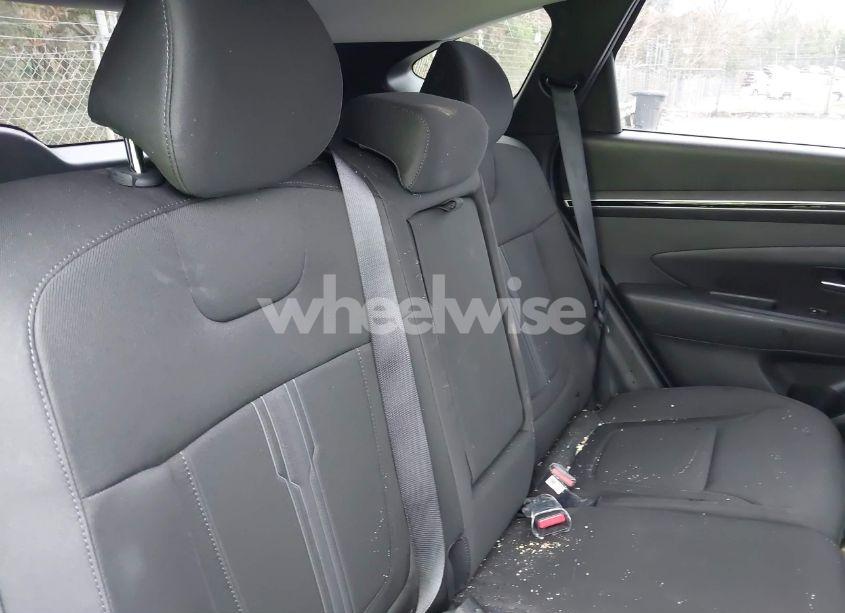 Photo 8 of 2024 Hyundai Tucson SEL (VIN 5NMJBCDEXRH404720)