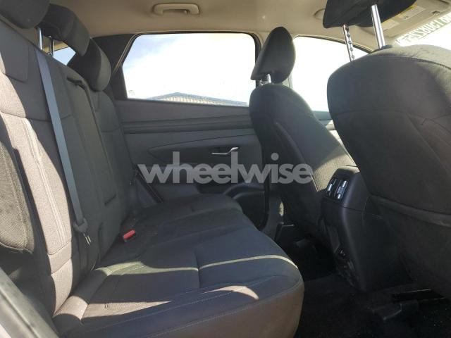 2025 HYUNDAI TUCSON SEL (VIN 5NMJBCDEXSH509053) main photo