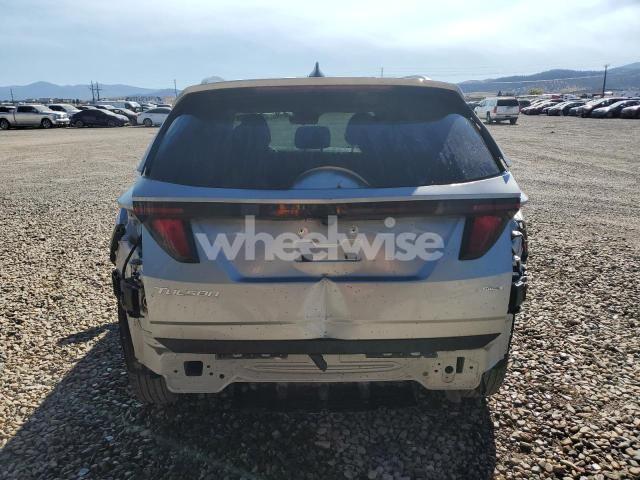 Photo 5 of 2025 HYUNDAI TUCSON SEL (VIN 5NMJBCDEXSH509053)