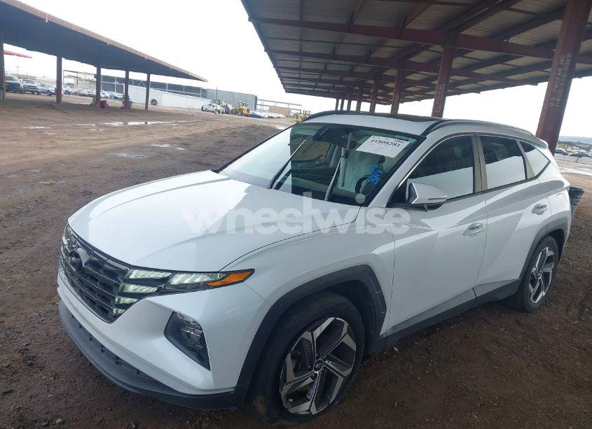 Photo 15 of 2022 Hyundai Tucson SEL (VIN 5NMJC3AE6NH060475)