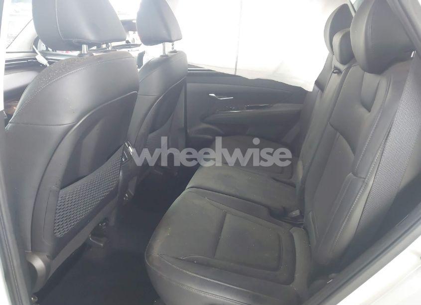 Photo 8 of 2022 Hyundai Tucson SEL (VIN 5NMJC3AE6NH060475)