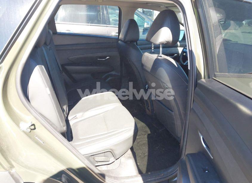 Photo 8 of 2025 Hyundai Tucson SEL CONVENIENCE (VIN 5NMJC3DE4SH445640)