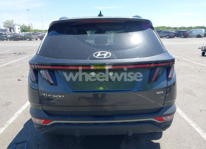 Photo 16 of 2022 Hyundai Tucson SEL (VIN 5NMJCCAE1NH017789)
