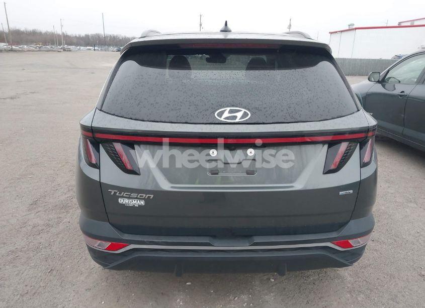 Photo 16 of 2022 Hyundai Tucson SEL (VIN 5NMJCCAE1NH033474)