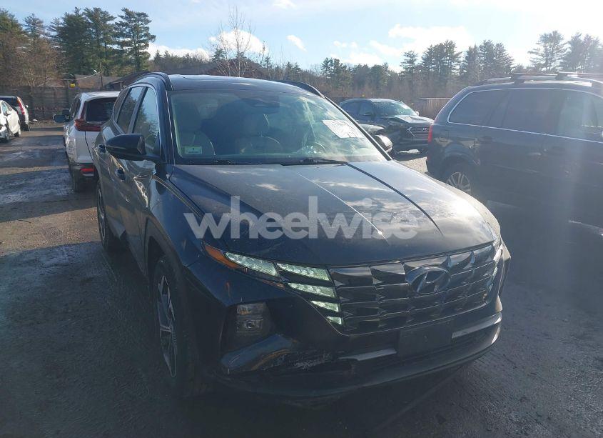 Photo 12 of 2022 Hyundai Tucson SEL (VIN 5NMJCCAE3NH061860)