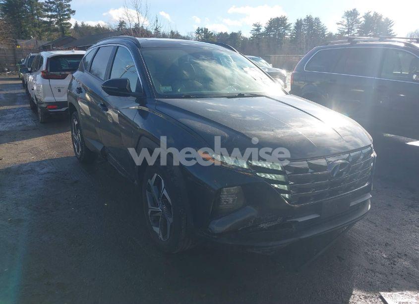 Photo 13 of 2022 Hyundai Tucson SEL (VIN 5NMJCCAE3NH061860)