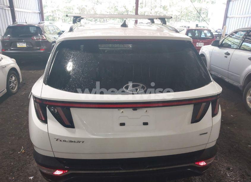 Photo 16 of 2022 Hyundai Tucson SEL (VIN 5NMJCCAE3NH084524)