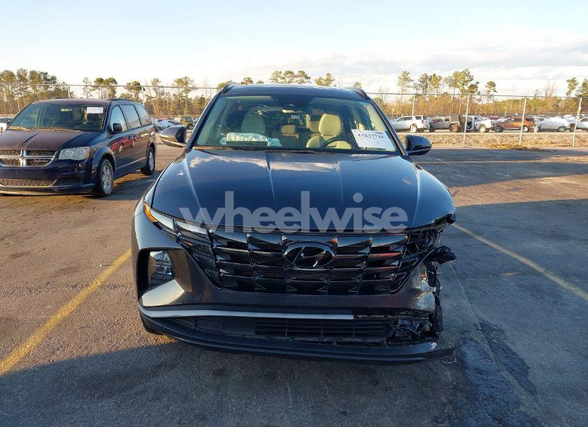 Photo 12 of 2022 Hyundai Tucson SEL (VIN 5NMJCCAE4NH039964)