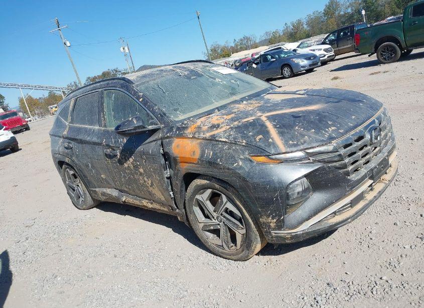 2022 Hyundai Tucson SEL (VIN 5NMJCCAE7NH099561) main photo