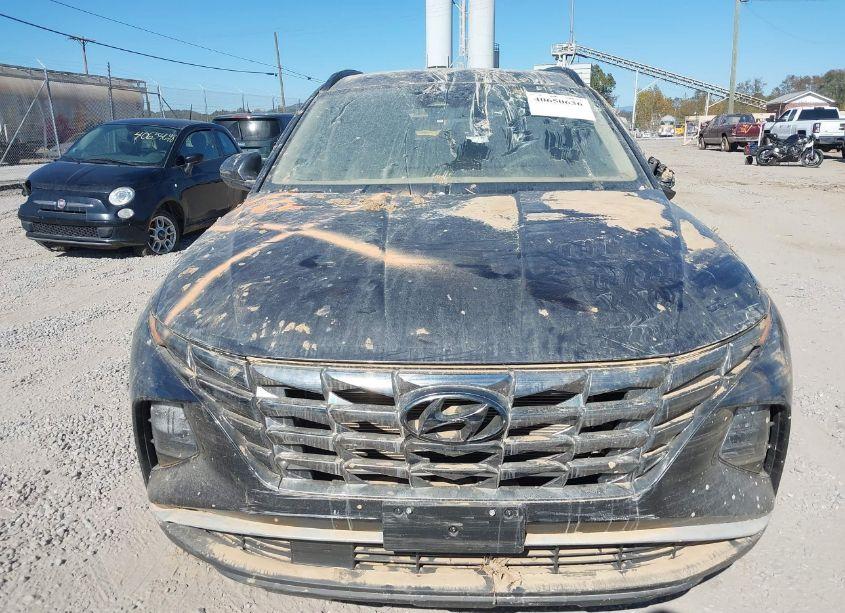 Photo 11 of 2022 Hyundai Tucson SEL (VIN 5NMJCCAE7NH099561)