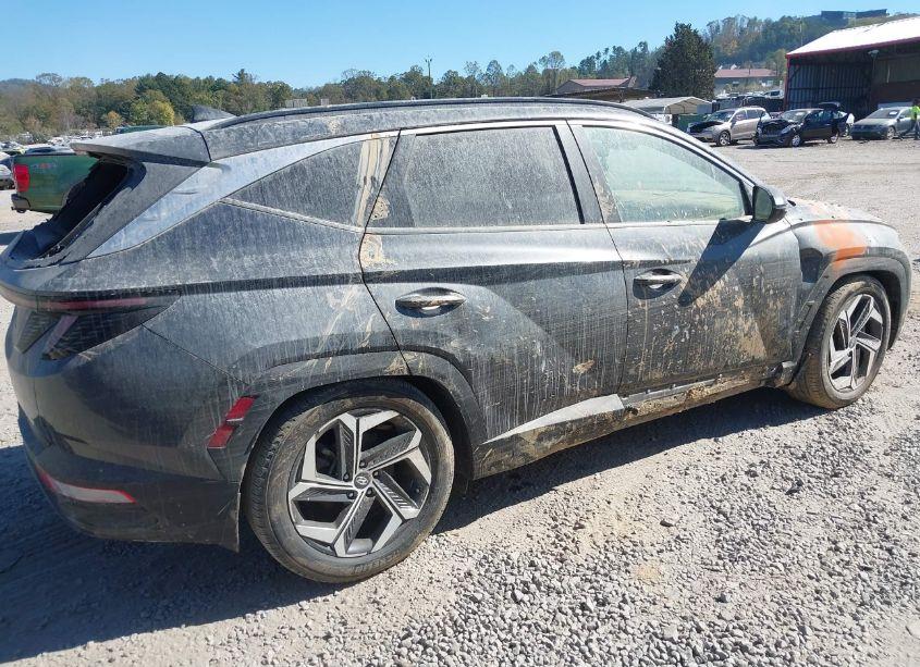 Photo 12 of 2022 Hyundai Tucson SEL (VIN 5NMJCCAE7NH099561)