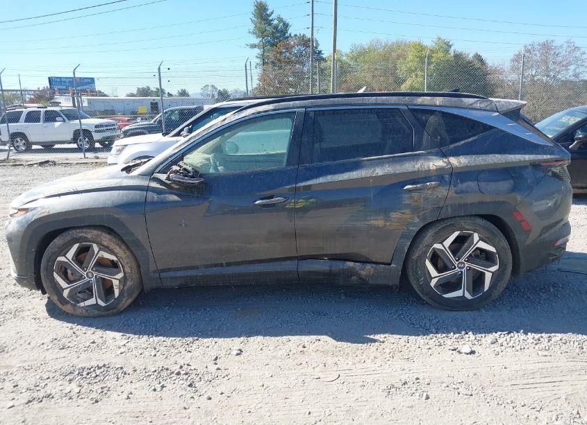 Photo 13 of 2022 Hyundai Tucson SEL (VIN 5NMJCCAE7NH099561)