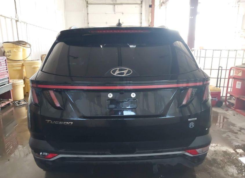 Photo 17 of 2022 Hyundai Tucson SEL (VIN 5NMJCCAE8NH079402)