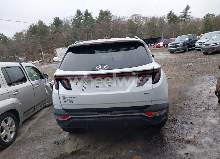 Photo 17 of 2022 Hyundai Tucson SEL (VIN 5NMJCCAE9NH160084)