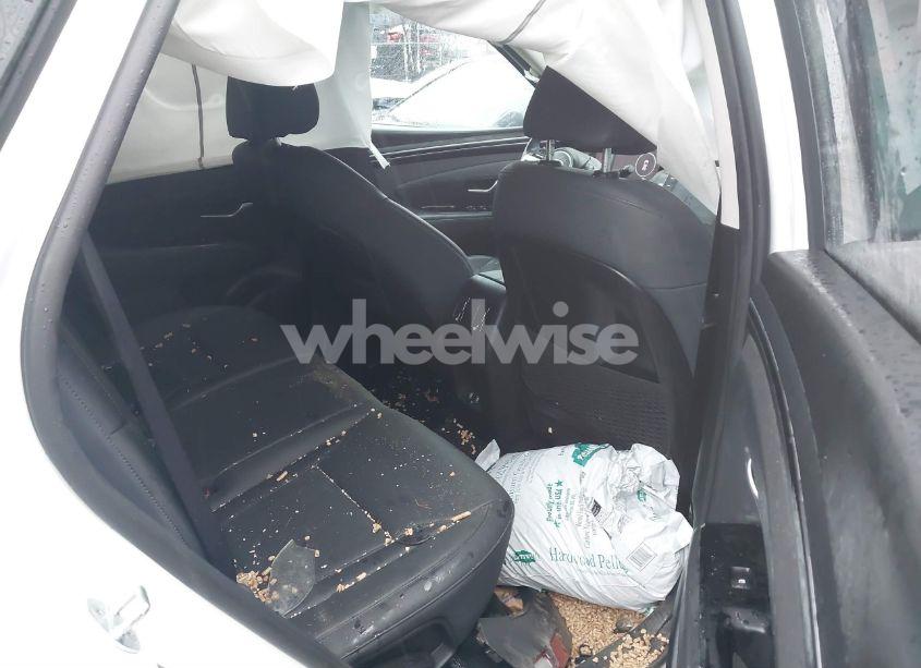 Photo 8 of 2022 Hyundai Tucson SEL (VIN 5NMJCCAE9NH160084)