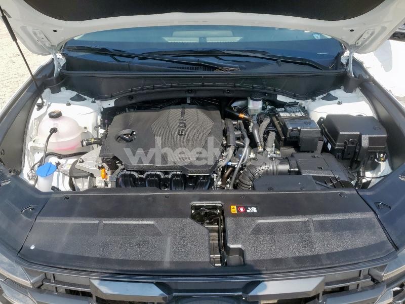 Photo 11 of 2025 HYUNDAI TUCSON SEL (VIN 5NMJCCDE1SH444512)